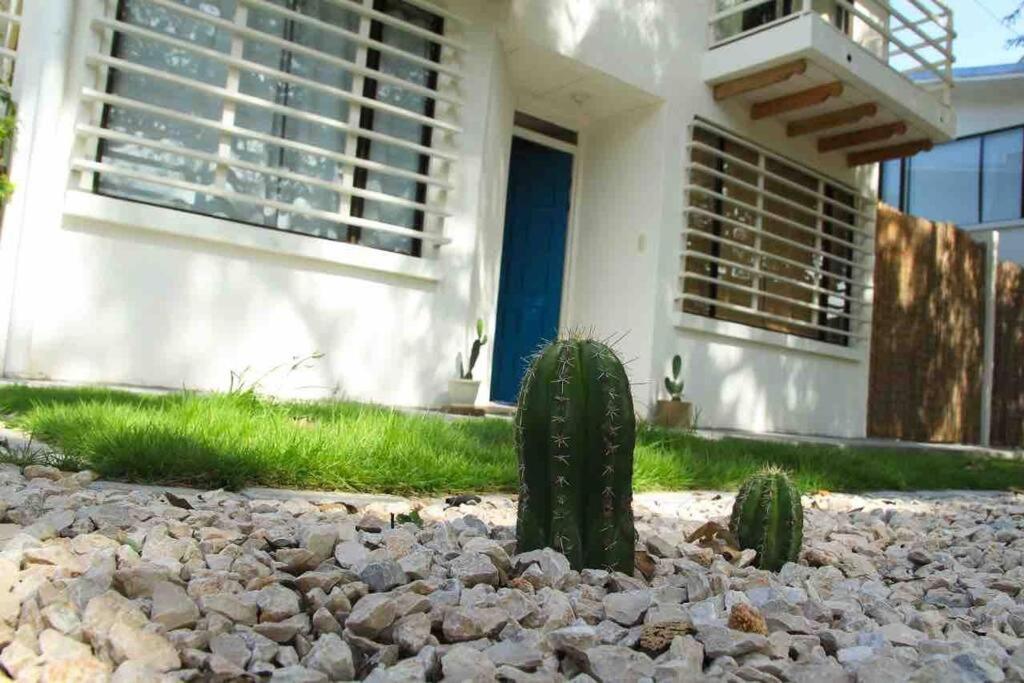 Casa Buda Liberia Cerca Del Aeropuerto Bagian luar foto